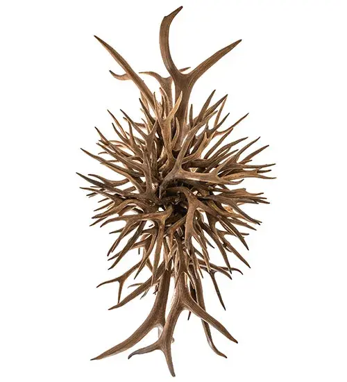 The Antlers by Meyda Lighting - Image 8