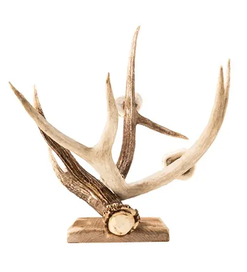 The Antlers by Meyda Lighting - Image 8