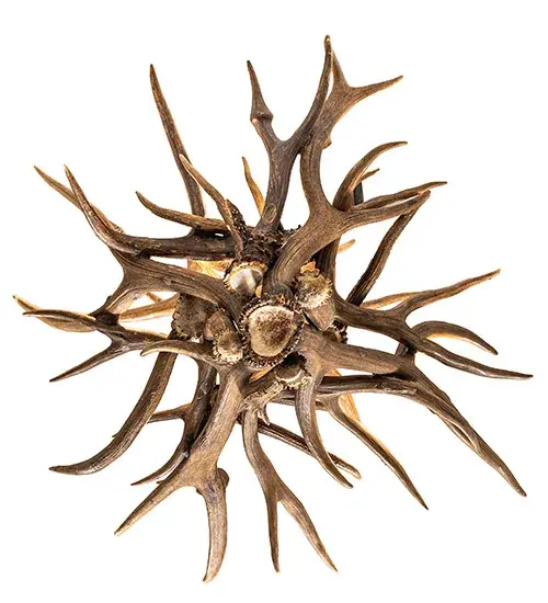 The Antlers by Meyda Lighting - Image 6