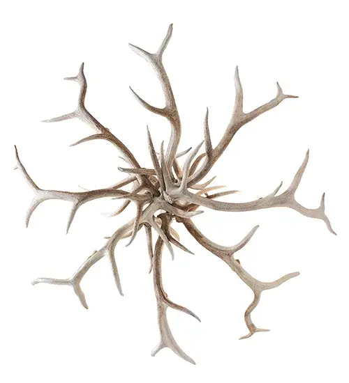 The Antlers by Meyda Lighting - Image 6