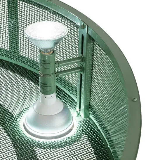 The Meyda Tiffany - Paloma Golpe by Meyda Lighting - Image 8