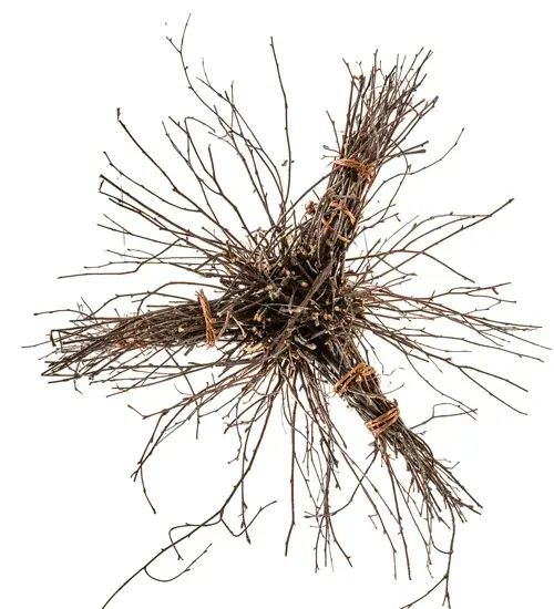 The Twigs by Meyda Lighting - Image 7