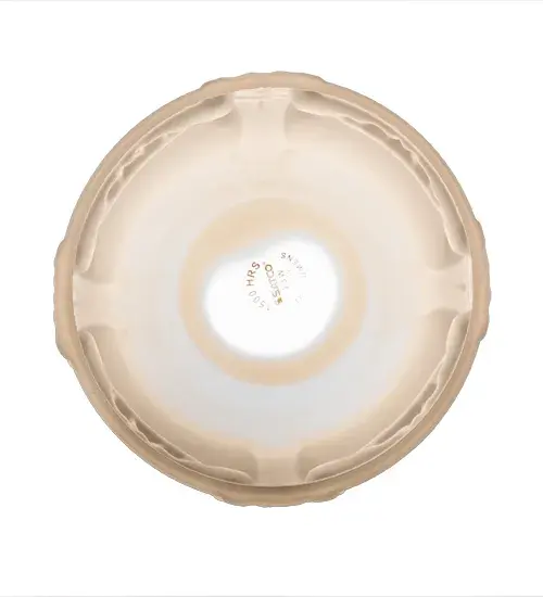 The Revival Oyster Bay by Meyda Lighting - Image 7