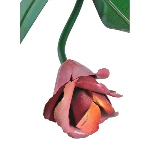 The Tulip by Meyda Lighting - Image 5