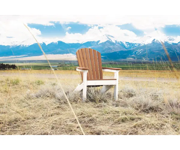 That classic Adirondack look with comfort you don't expect. Dimensions: 31½"W x 32½"D x 38½"H - alternate view