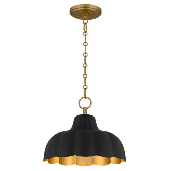 Bathe your space in the warm, golden glow of the Leanne Pendant Light—a timeless piece where classic form meets modern charm. With its gracefully contoured metal shade, the Leanne is finished in a rich matte black that exudes quiet sophistication. Inside, a surprise awaits: a brushed brass interior that captures and reflects light like the soft flicker of candlelight, casting a warm, romantic ambiance. Suspended from a delicate chain with golden links, the Leanne sways gently with the rhythm of the room—perfect for intimate dinners, cozy reading nooks, or serene bedrooms.