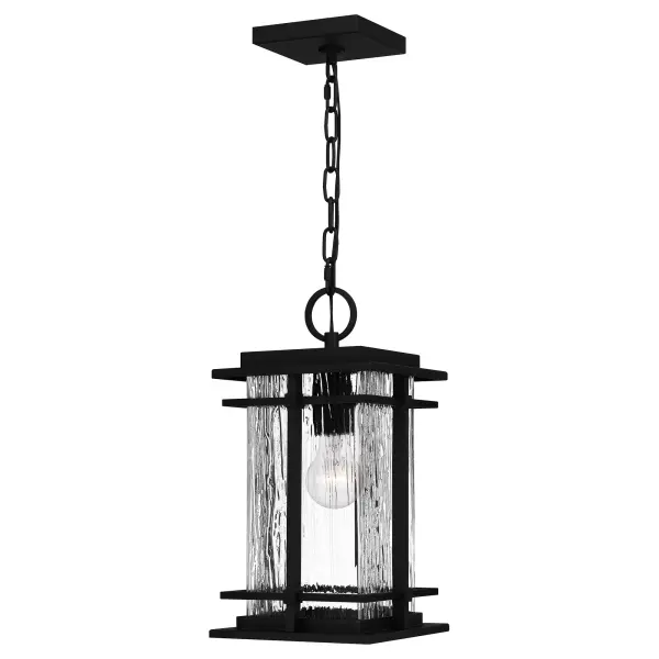 Enjoy major visual intrigue with the McAlister collection. With its earth black finish and clear textured glass panels, this style delivers on patina and texture at once. The chain suspension makes it a perfect addition to a covered porch or portico.