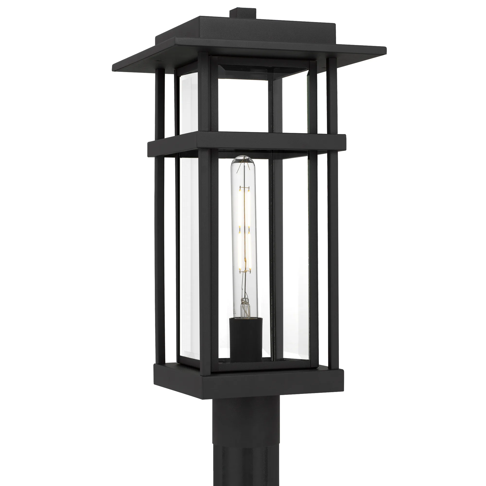 Morgan 1-Light Earth Black Outdoor Hanging Lantern