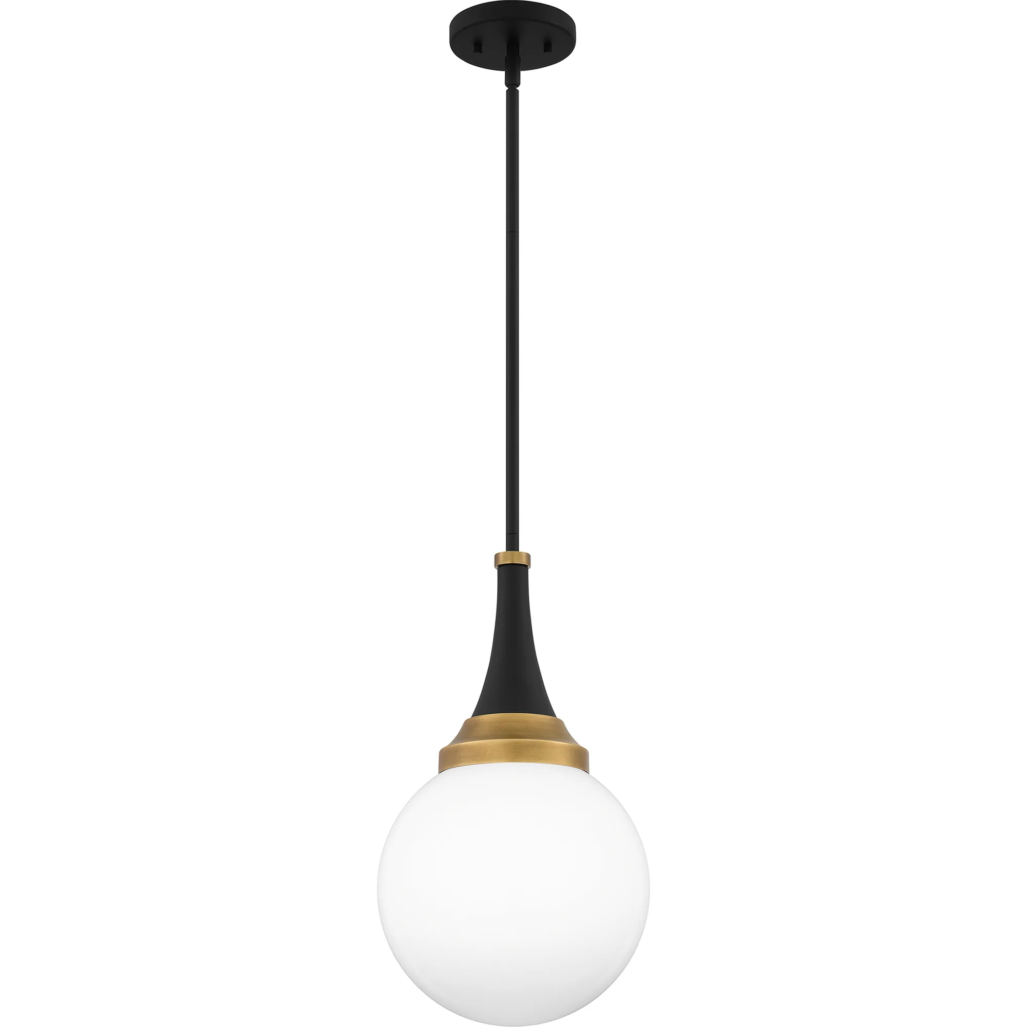 Arlo One Light Pendant in Matte Black with Brass Accents