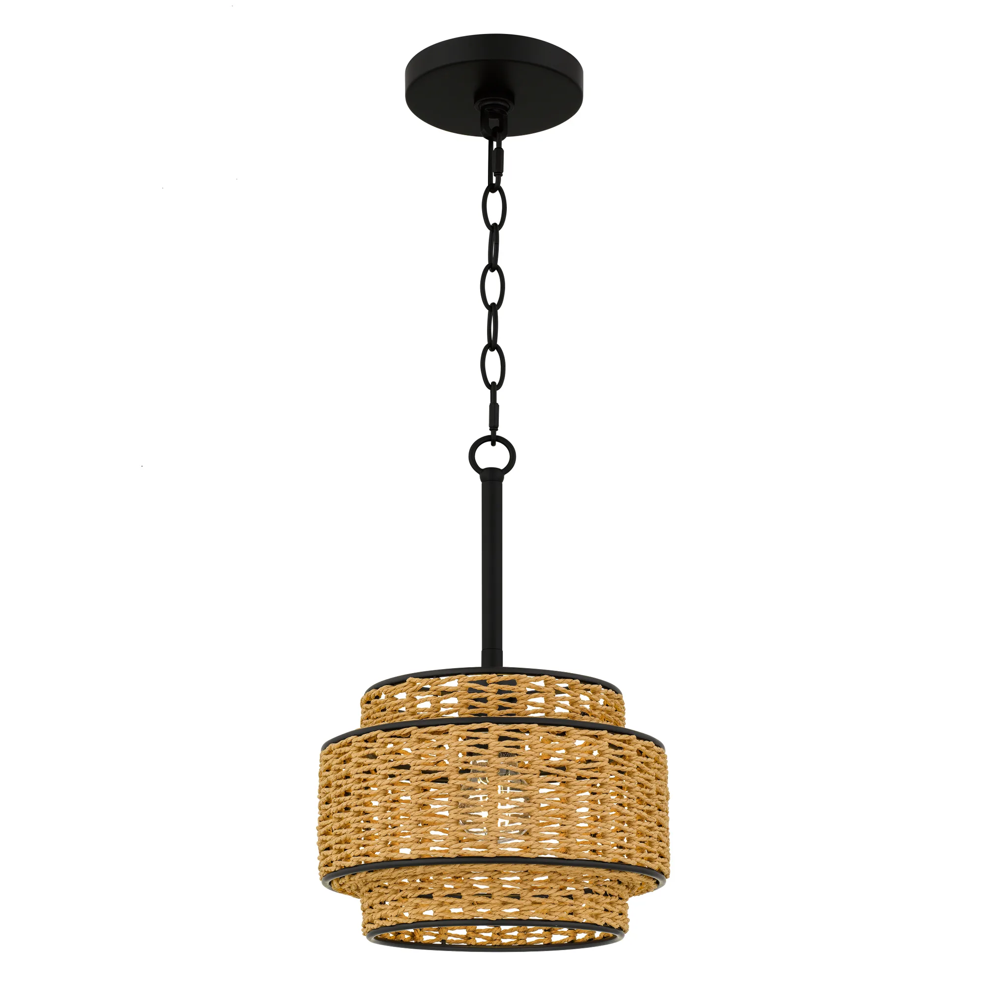 Teton 1-Light Matte Black Mini Pendant Light