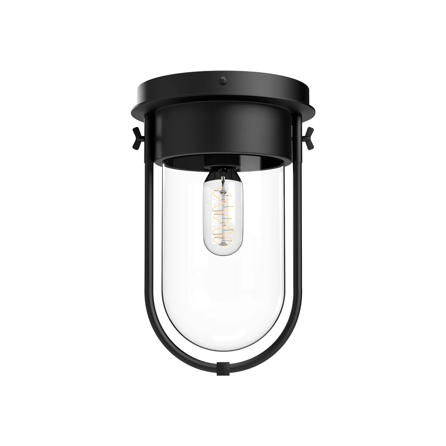 Cyrus One Light Flush Mount in Clear Glass/Matte Black