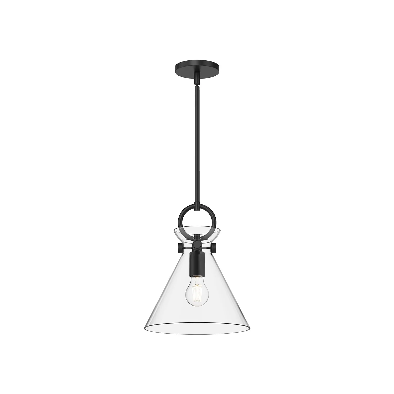 Emerson One Light Pendant in Matte Black/Clear Glass