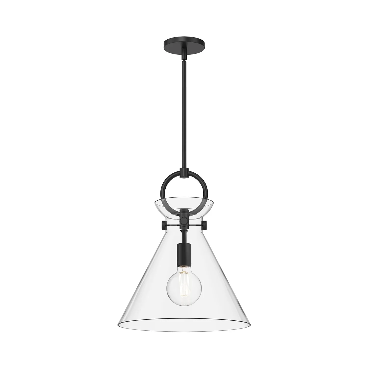 Emerson One Light Pendant in Matte Black/Clear Glass