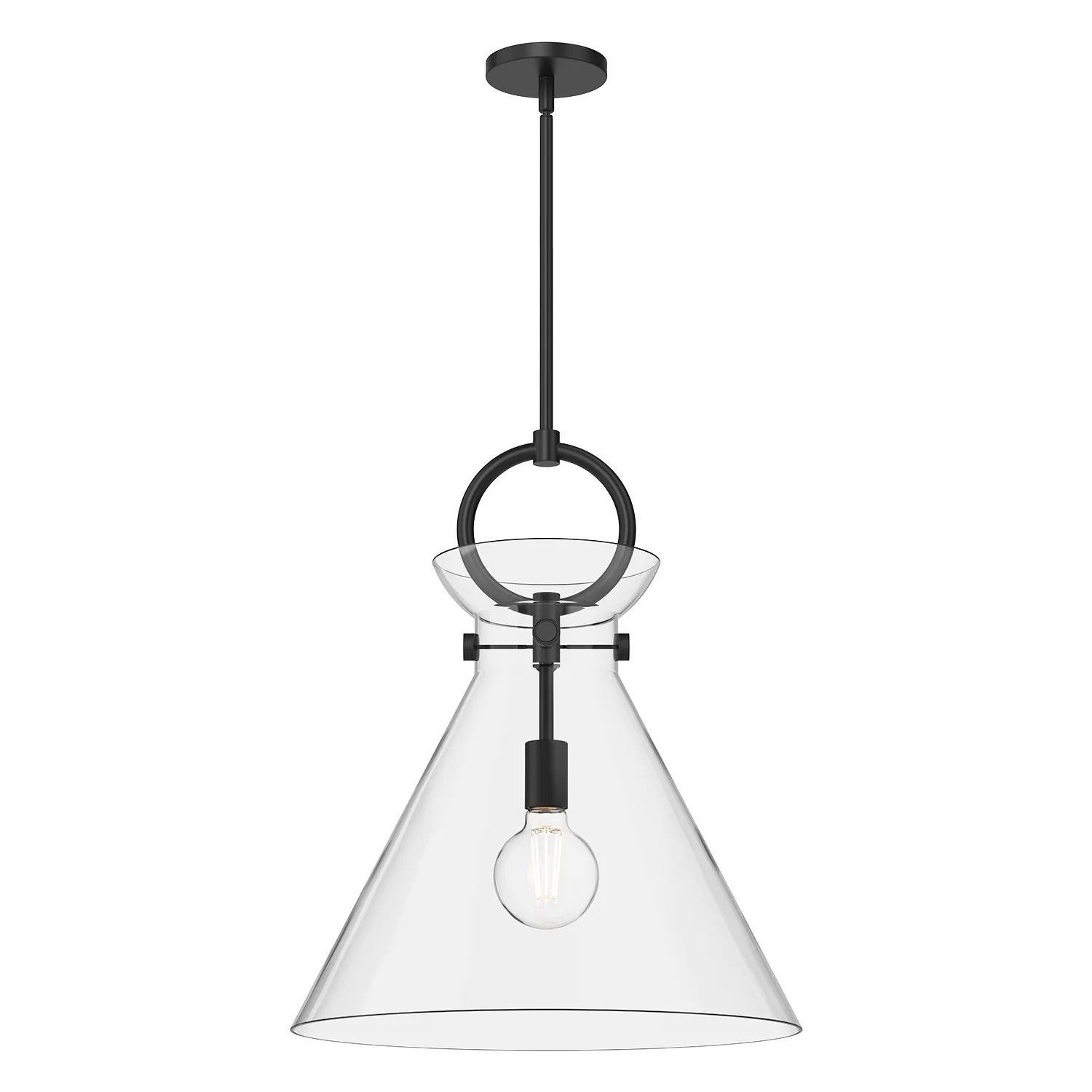 Emerson One Light Pendant in Matte Black/Clear Glass