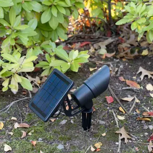 Tri-Color Progressive Outdoor Solar LED Spotlight - Image 3