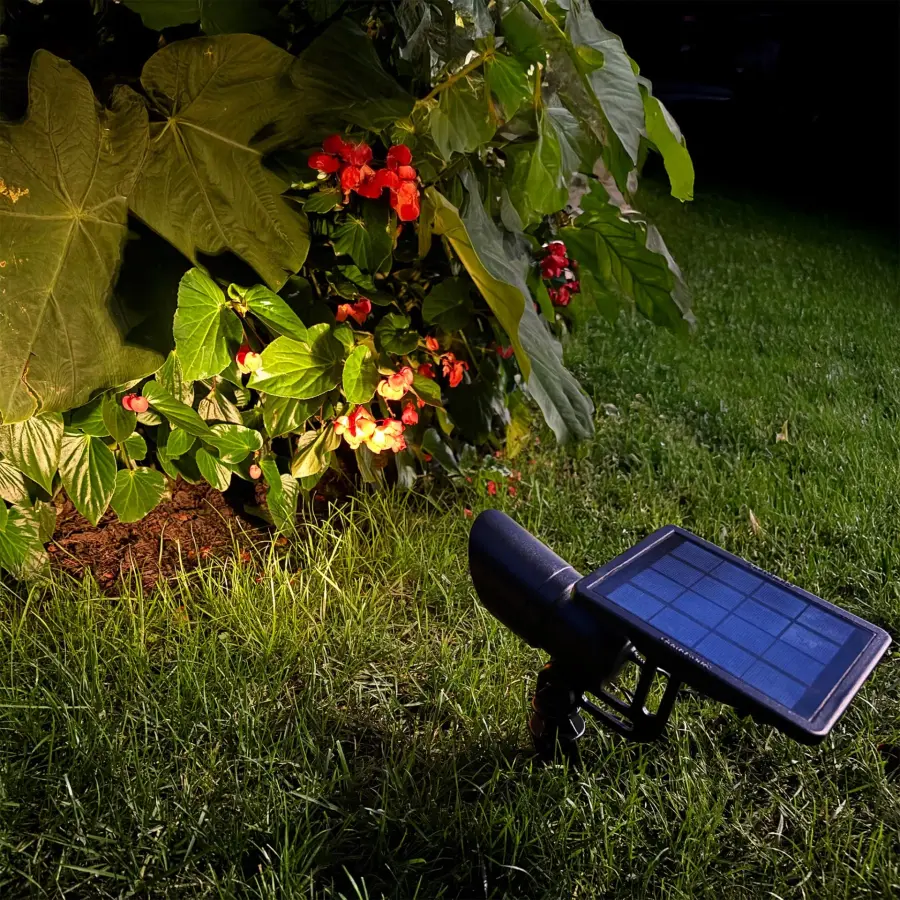 Tri-Color Progressive Outdoor Solar LED Spotlight - Image 5