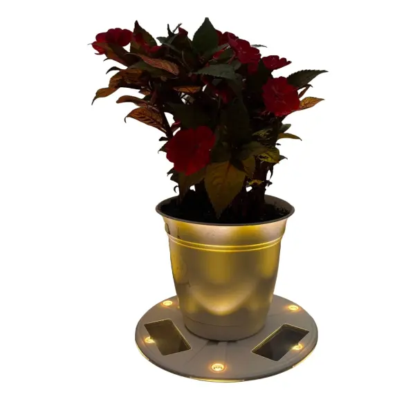 This innovative solar uplight transforms ordinary planters into illuminated focal points with warm white LED lighting. Perfect for eco-conscious homeowners seeking energy-free accent lighting for decks, pathways, and patios.