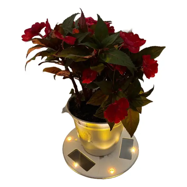 This innovative solar uplight transforms ordinary planters into illuminated focal points with warm white LED lighting. Perfect for eco-conscious homeowners seeking energy-free accent lighting for decks, pathways, and patios. - alternate view