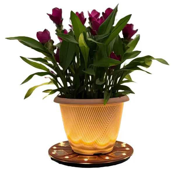 The Grand Solar Uplight Planter Base transforms ordinary planters into glowing focal points with its warm 60-lumen upward glow. This 15" wireless solar-powered base requires no wiring or electricity, charging during the day and automatically illuminating at night. Perfect for patios, porches, walkways, and poolside settings.