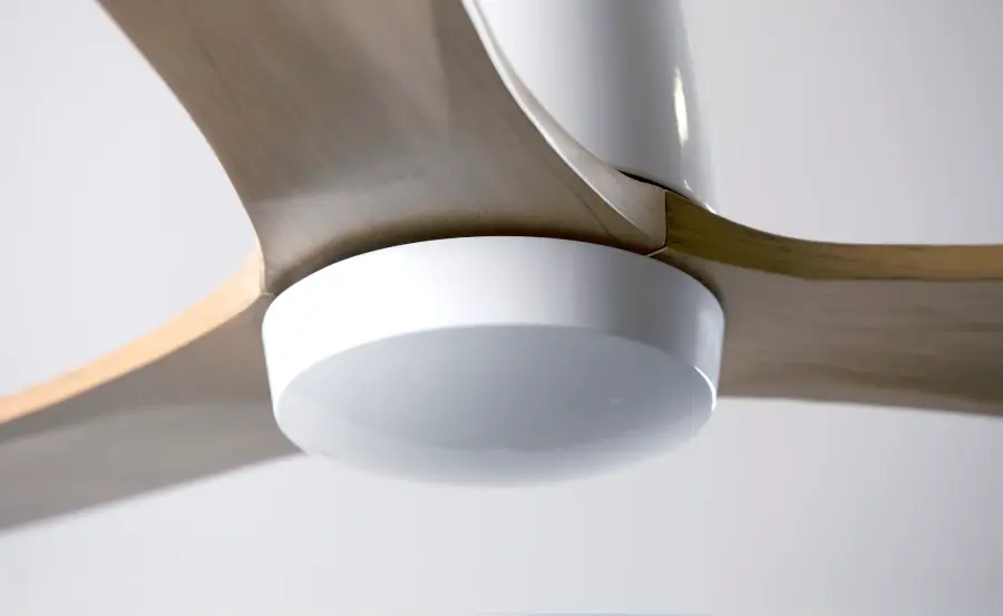 The Arbor by Modern Fan Co - Image 1