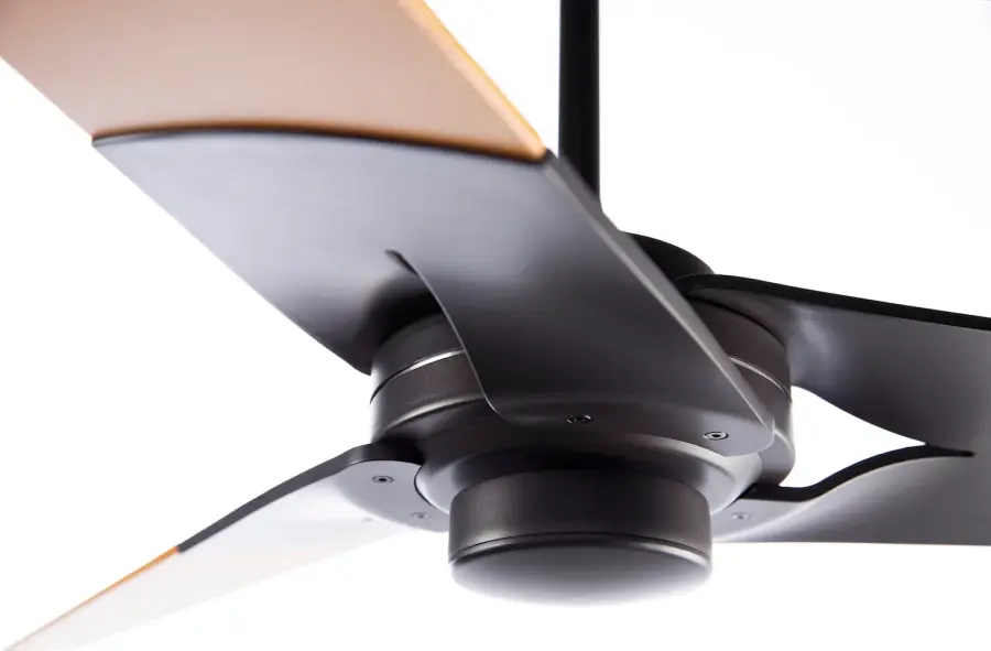 The Torsion by Modern Fan Co - Image 10