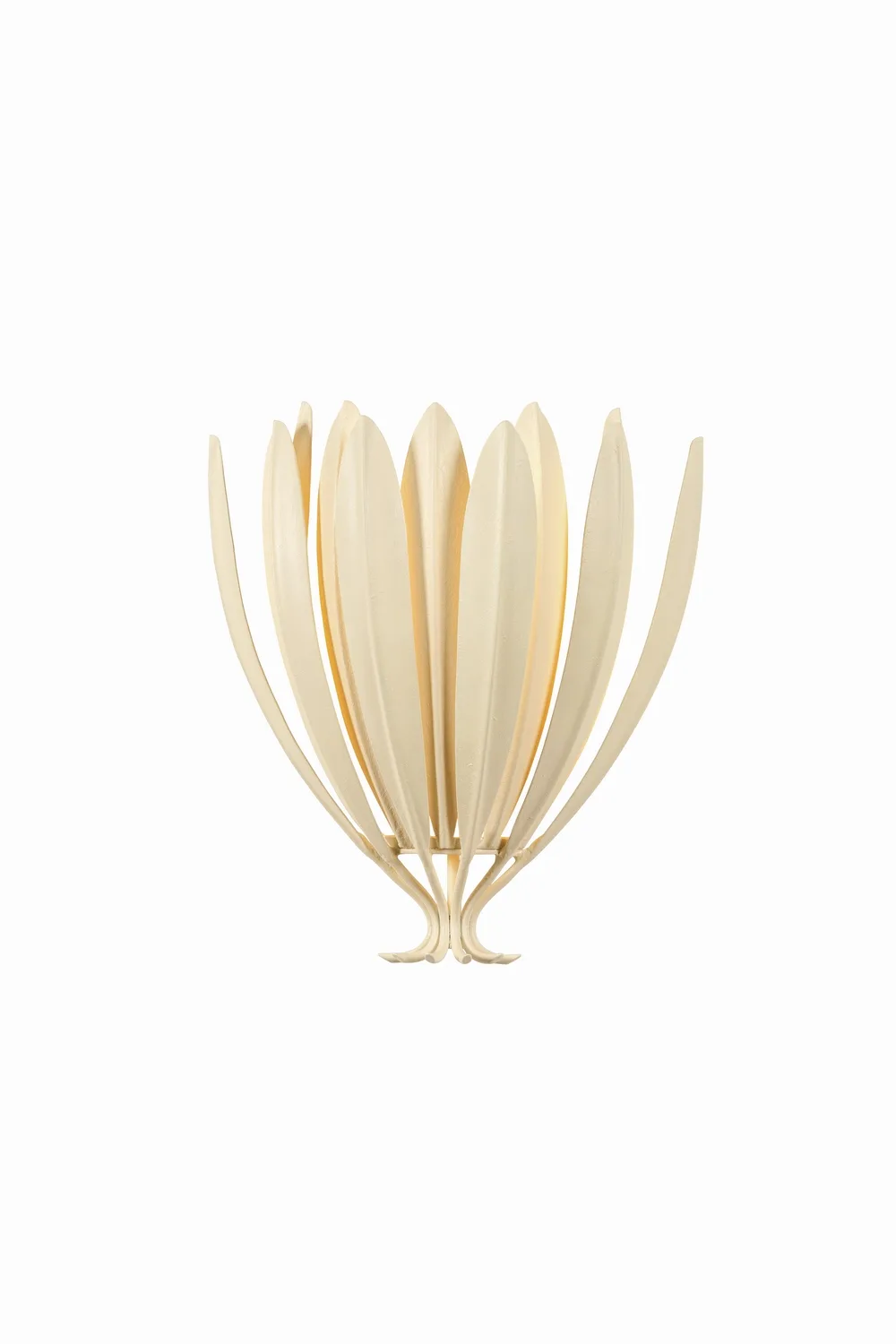 Whitfield 1-Light Wall Sconce