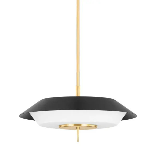 This four-light pendant combines aged brass and soft black finishes for a refined transitional aesthetic. The mixed metal design adds visual interest while maintaining versatility across traditional and contemporary interiors.