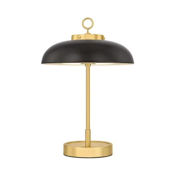 This Hudson Valley LED table lamp combines aged brass and distressed bronze finishes for a refined, transitional aesthetic. The integrated LED technology provides energy-efficient illumination while the mixed metal finish adds visual depth and character to any space.