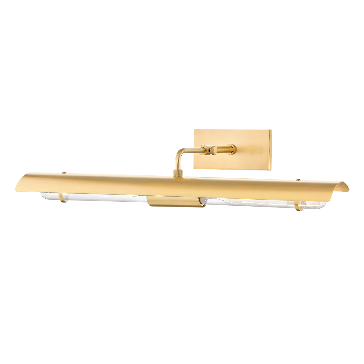 Raelynn Picture Light in Aged Brass