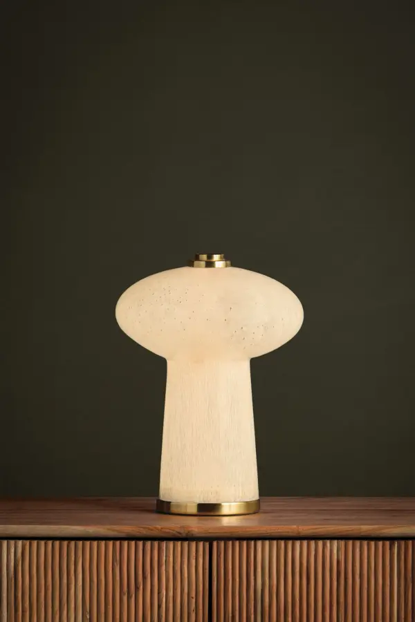 The Fords rechargeable table lamp combines playful seeded glass with refined Aged Brass accents, creating a versatile accent piece perfect for smaller spaces. Its cordless LED design offers flexibility and modern convenience. - alternate view