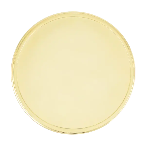 Physical finish swatch showcasing polished brass material and color. Perfect for designers, contractors, and homeowners to evaluate finish compatibility before purchasing full fixtures.