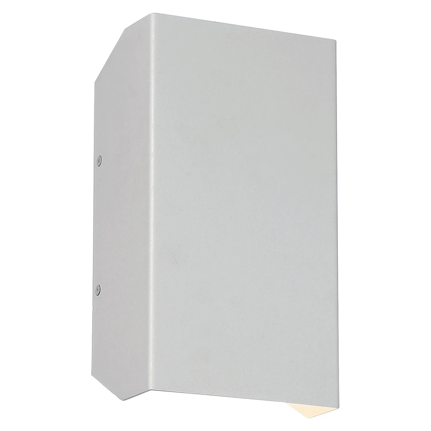 Amora LED Outdoor Wall Mount in Satin