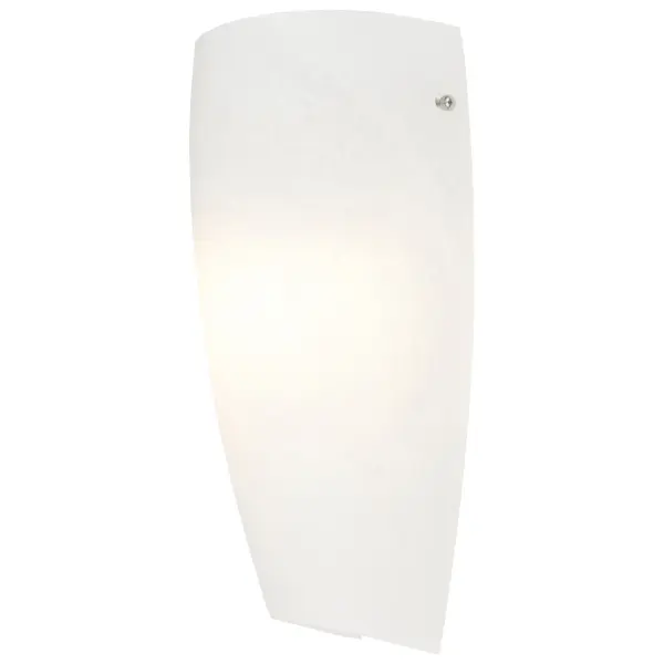 Daphne 1-Light Wall Sconce