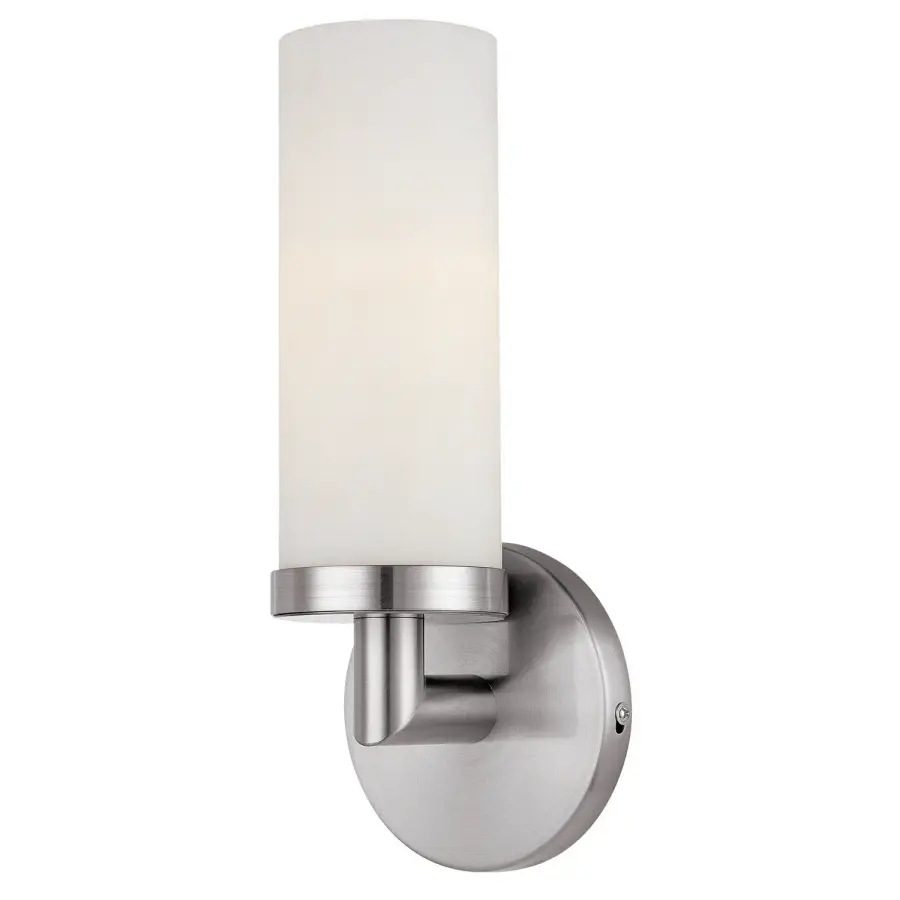 Aqueous 1-Light Wall Sconce in Brushed Steel