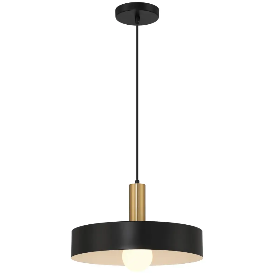 Slate 1-Light Pendant in Black with Antique Brushed Brass