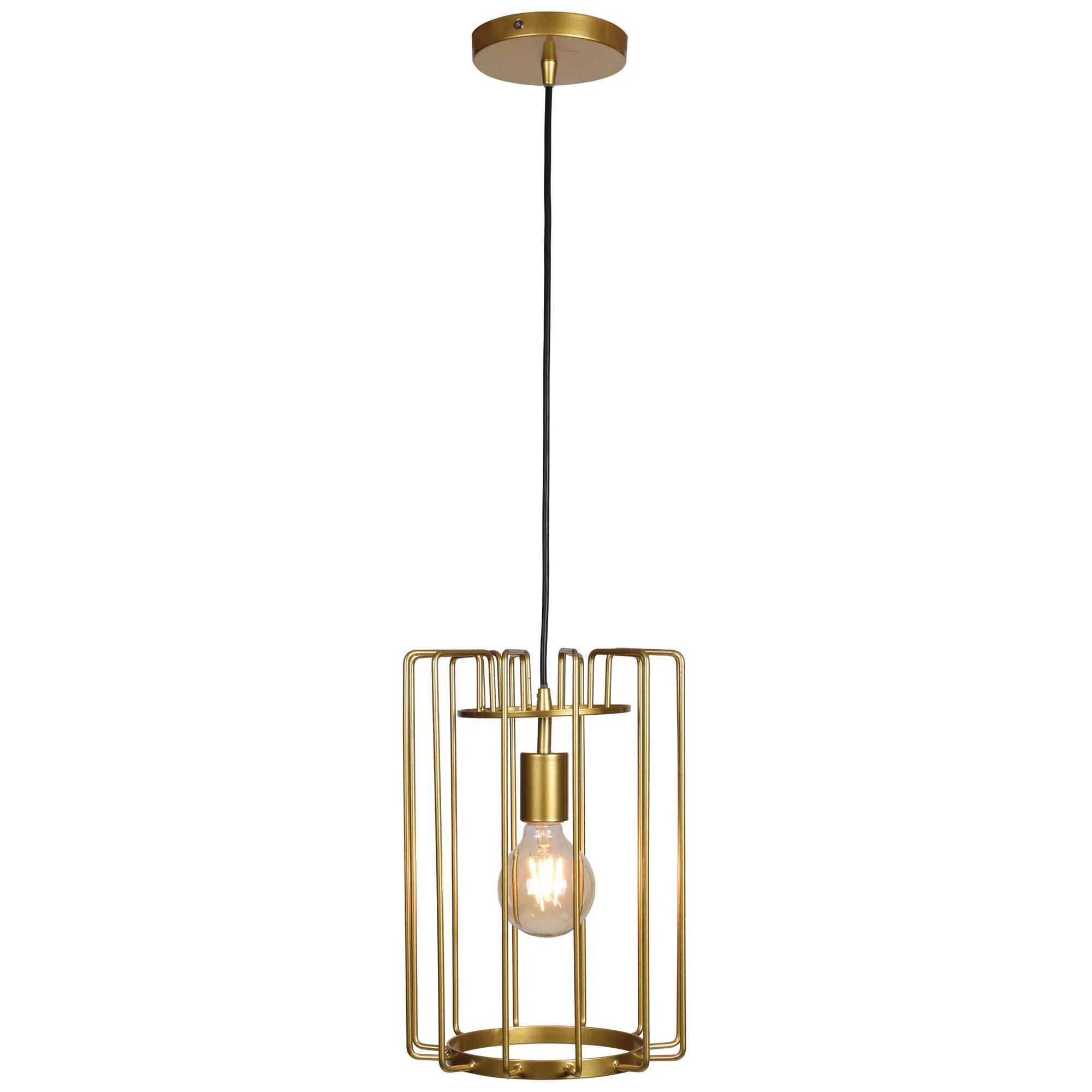 Model 23891LEDDLP