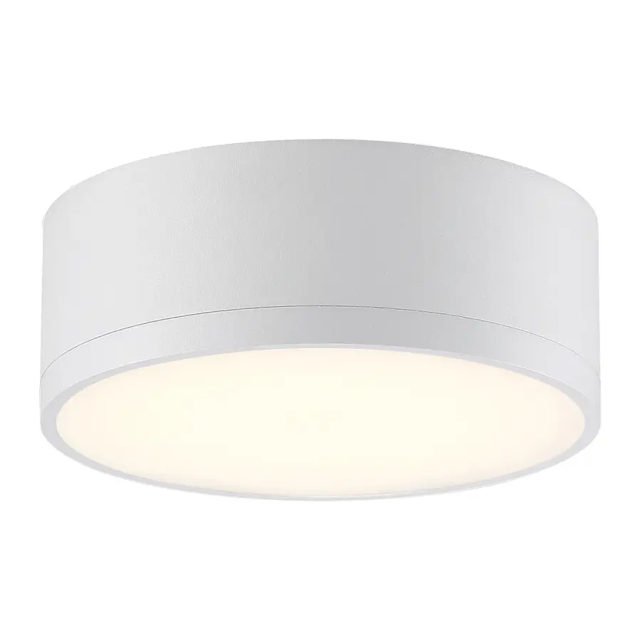 BEAT Dual Voltage LED Flush Mount in White