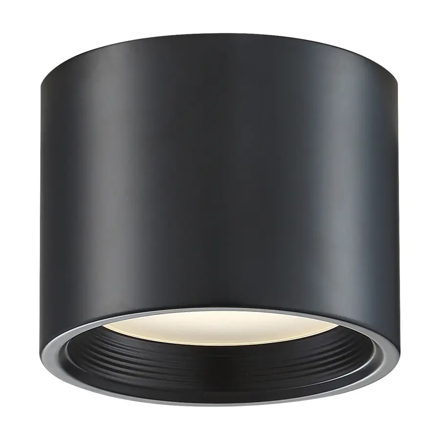 REEL Dual Voltage LED Flush Mount in Black