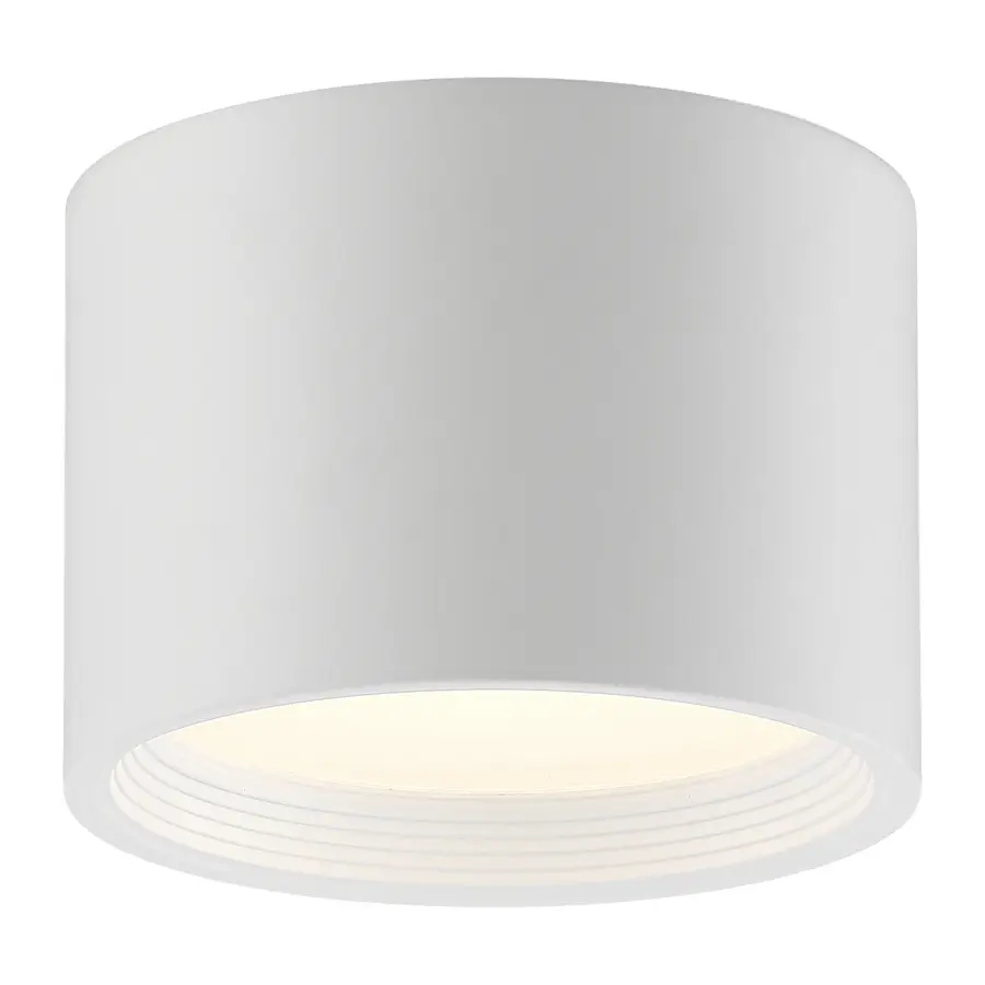 REEL Dual Voltage LED Flush Mount in White