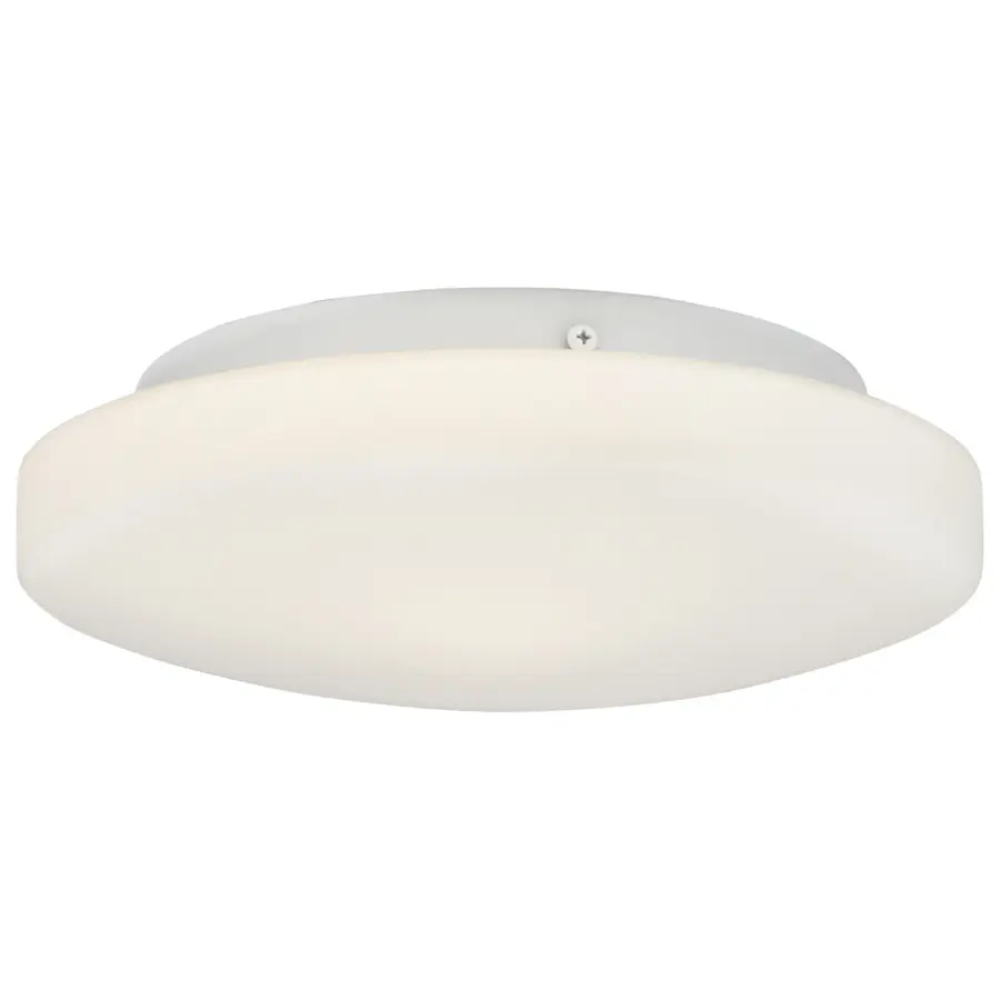 ORION White Flush Mount Ceiling Light