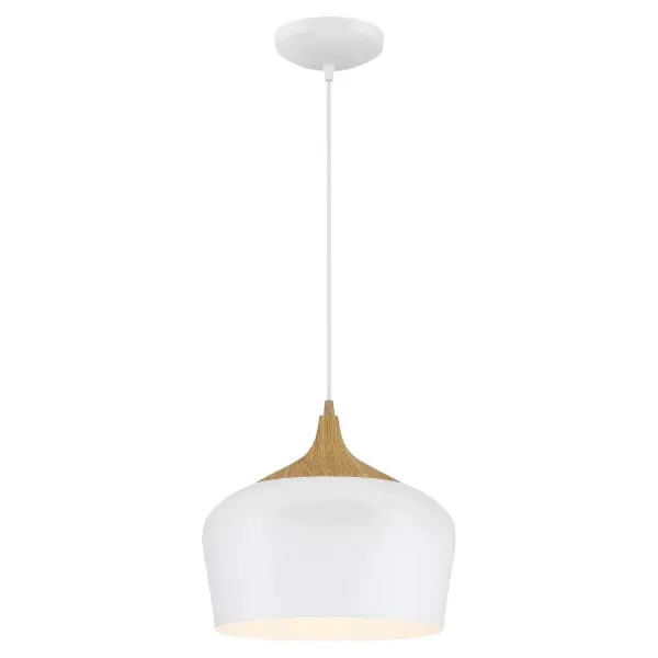 The Nostalgia LED Pendant combines vintage-inspired design with energy-efficient LED technology. Its compact 12-inch diameter and clean white finish make it versatile for various spaces, while the included 800-lumen LED provides warm, dimmable light.
