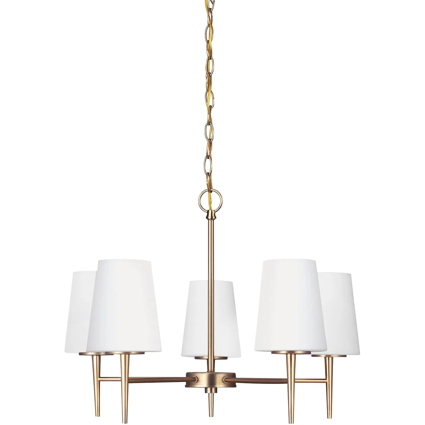 Driscoll Five Light Chandelier in Satin Brass