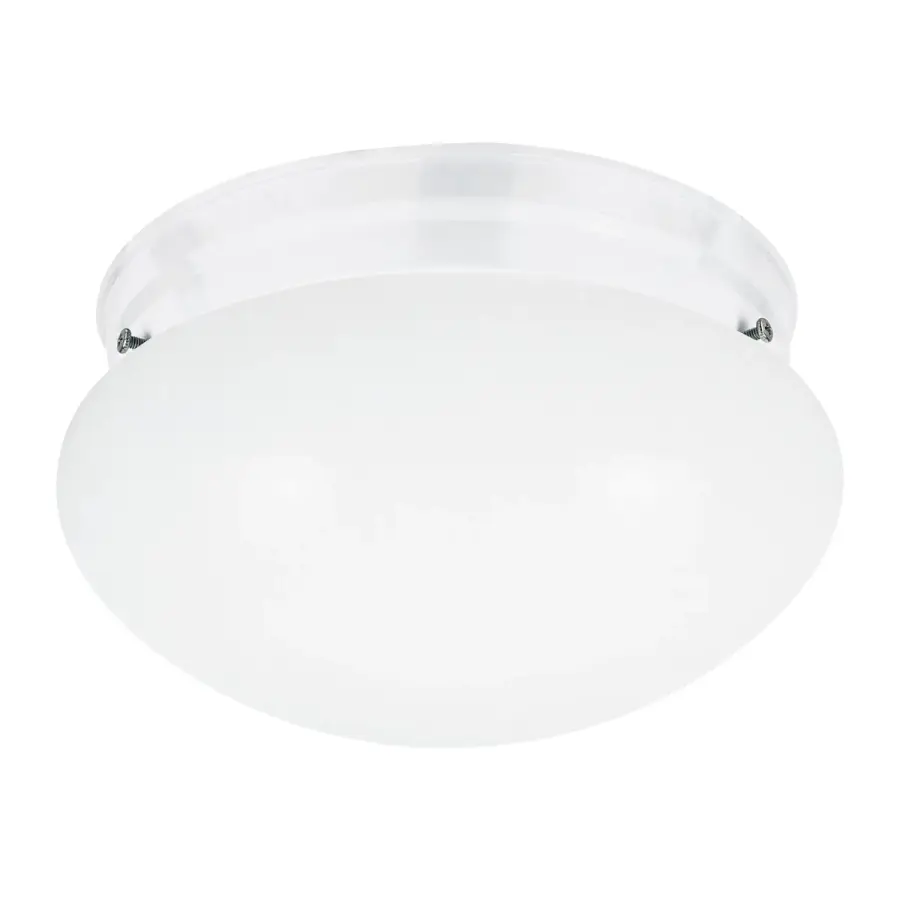 Webster Two Light Flush Mount in White