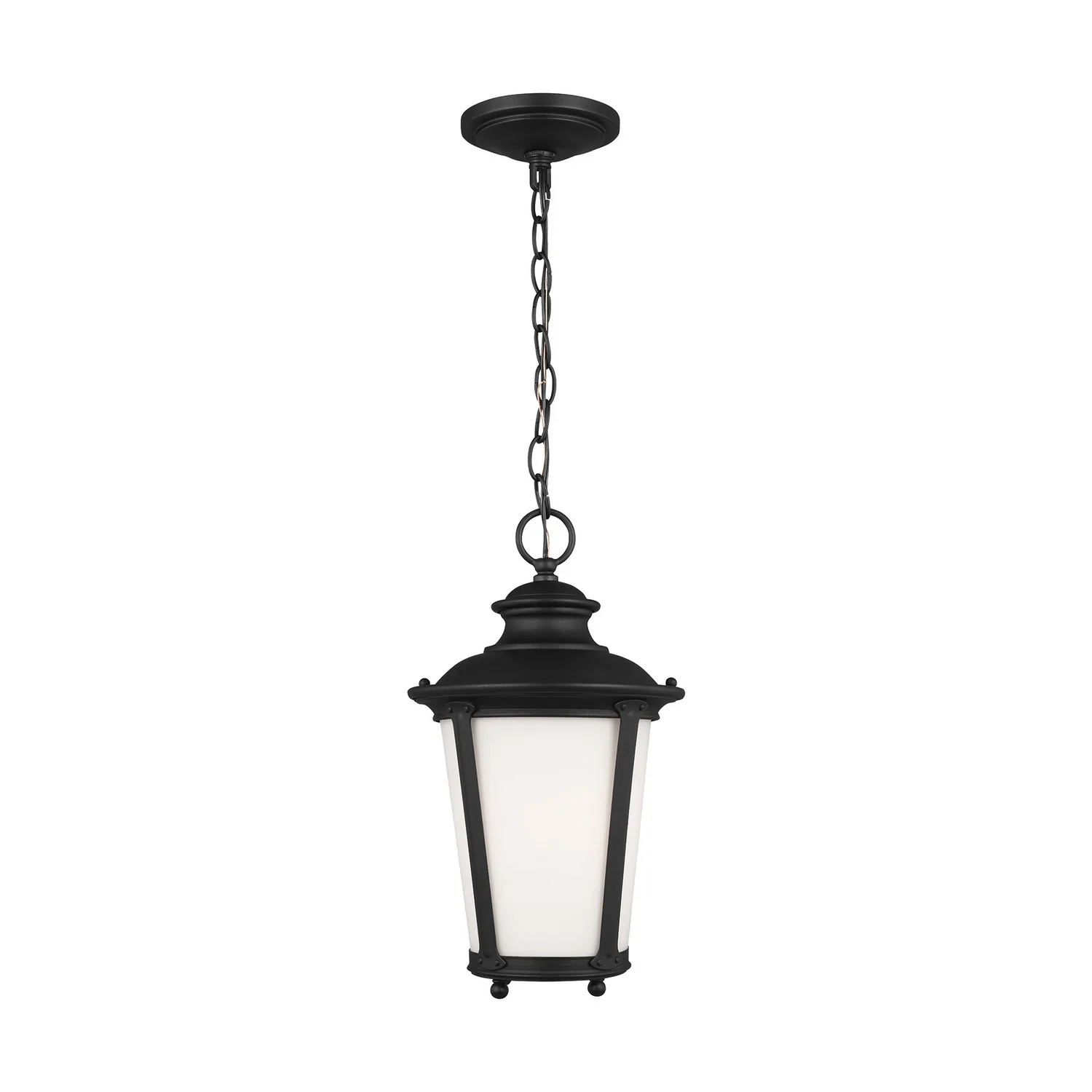Cape May One Light Outdoor Pendant in Black