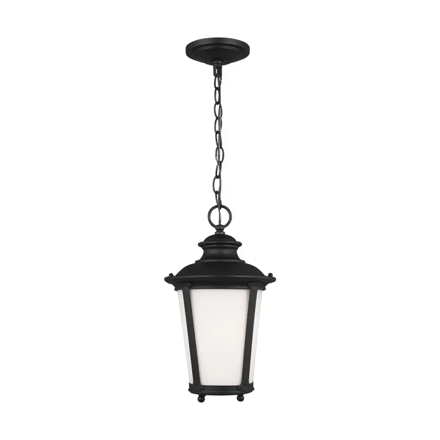 Cape May One Light Outdoor Pendant in Black