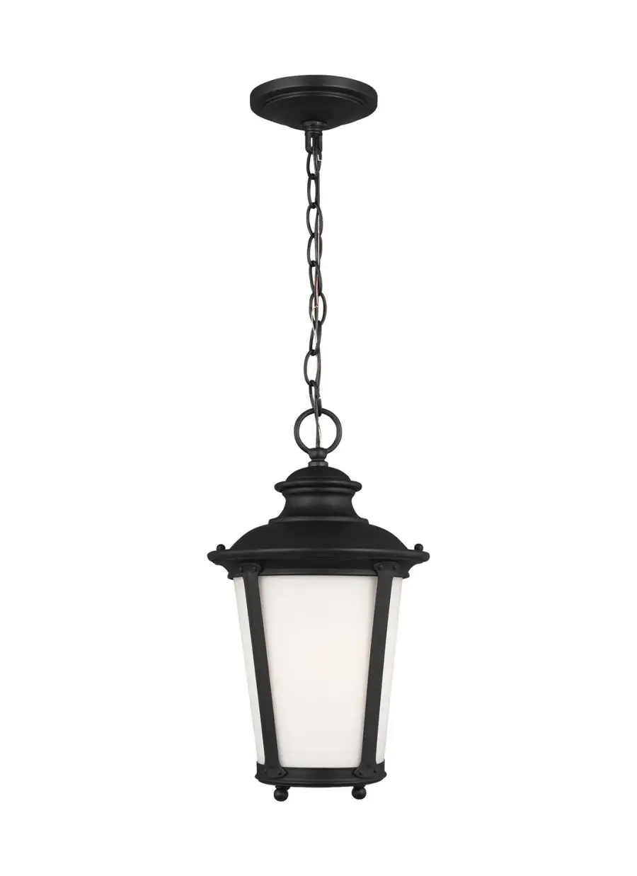 Cape May One Light Outdoor Pendant in Black