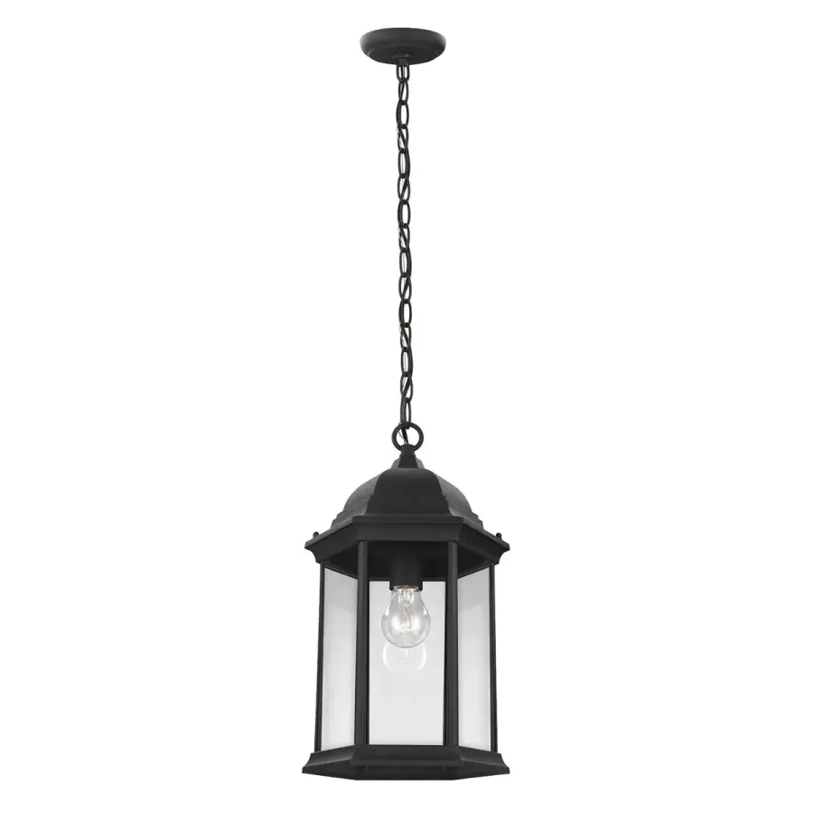 Sevier One Light Outdoor Pendant in Black