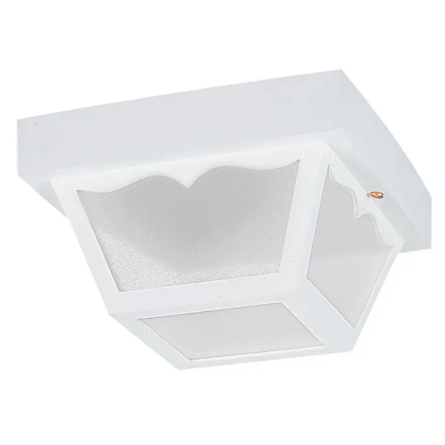Outdoor Ceiling Two Light Flush Mount in White