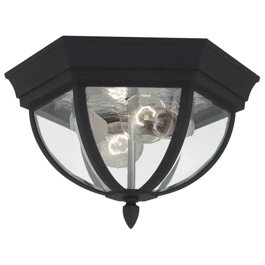 Wynfield Two Light Outdoor Flush Mount in Black