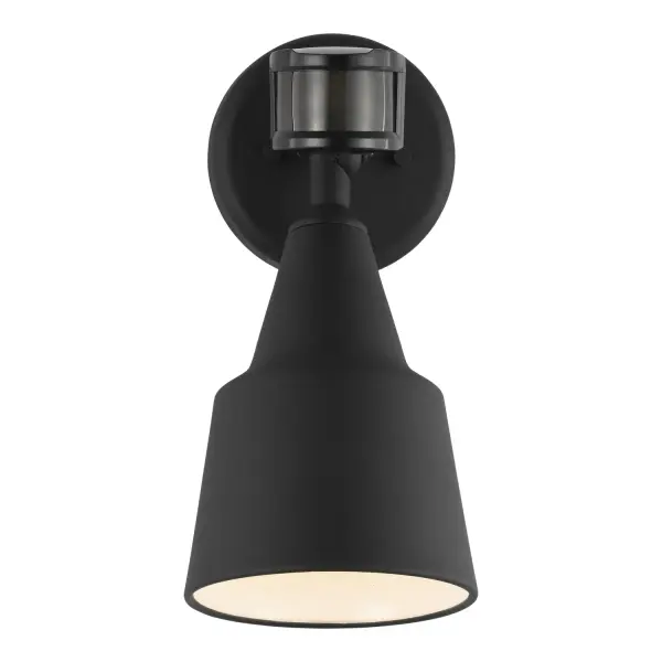 Flood Light with Photo and Motion Sensor in Black